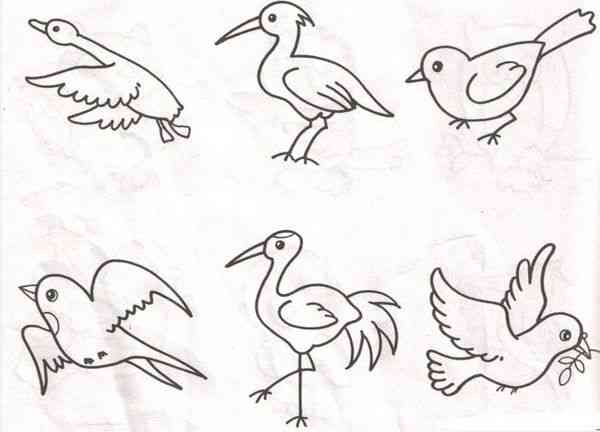 小鸟的简笔画 小鸟的简笔画简单又好看