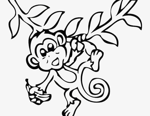 树上的小猴子简笔画图片