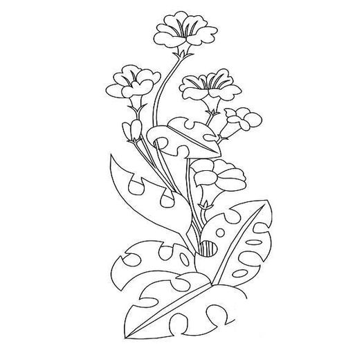 植物的简笔画 植物的简笔画怎么画简单又漂亮