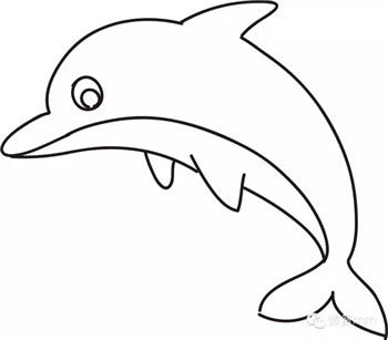 海豚简笔画 海豚简笔画图片带颜色