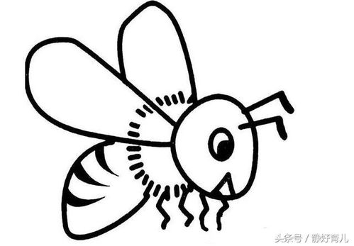 蜜蜂的简笔画 蜜蜂的简笔画.可爱