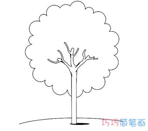 大树怎么画简单又好看 怎样画树简单画法
