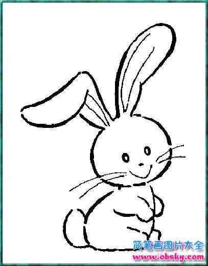小白兔简笔画图片 小白兔简笔画图片可爱