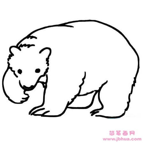 北极熊简笔画 北极熊简笔画可爱