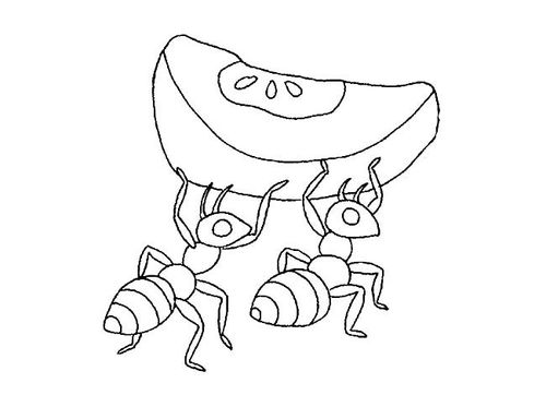 蚂蚁的简笔画 蚂蚁的简笔画简单又漂亮