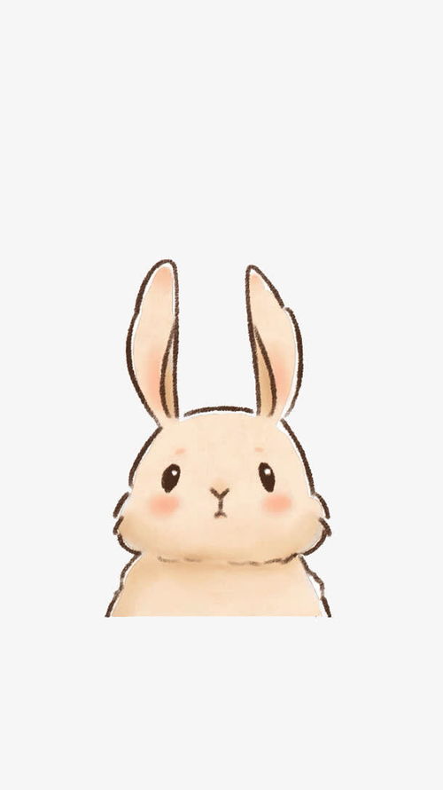 兔子耳朵简笔画 兔子耳朵简笔画图片