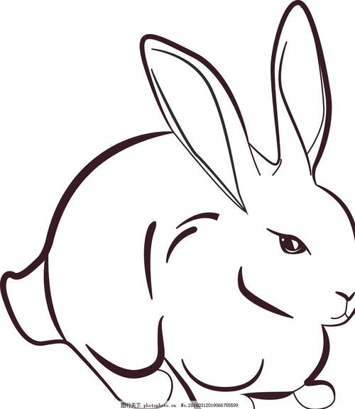 兔子的简笔画 兔子的简笔画图片大全可爱简单