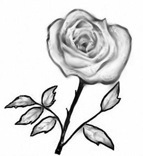 画玫瑰花的简笔画 用颜料画玫瑰花的简笔画