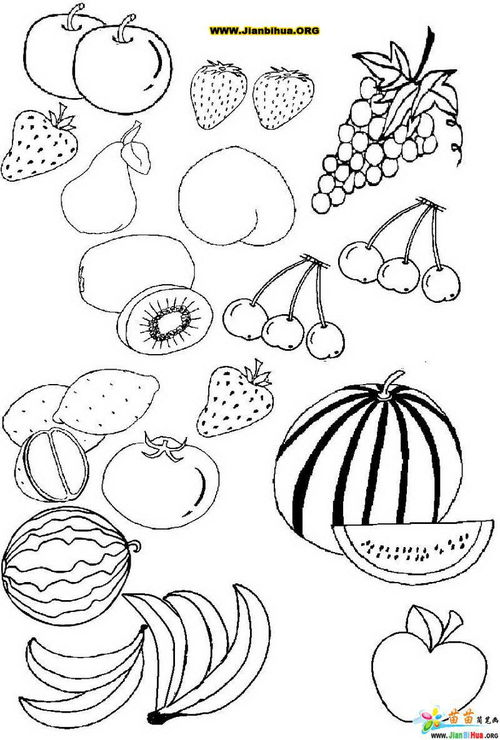 100种水果简笔画图片 水果简笔画图片大全