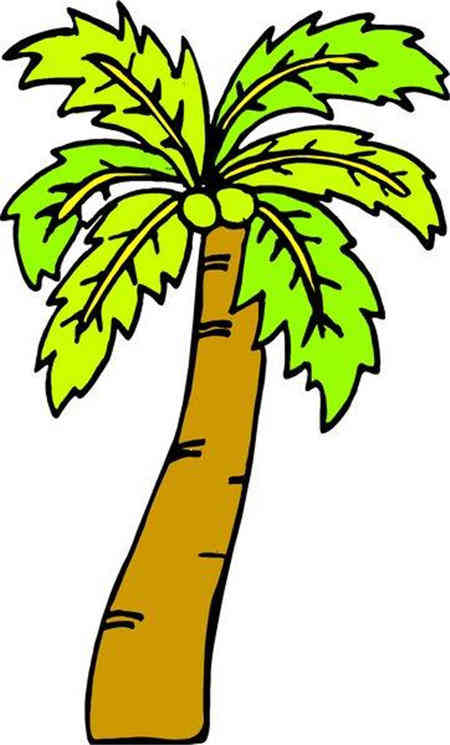 椰子树简笔画带颜色 椰子树简笔画带颜色视频