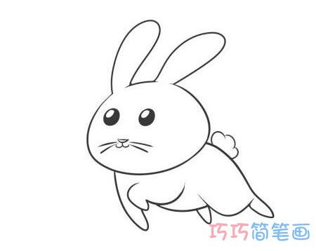 小白兔怎么画 小白兔怎么画简单好看