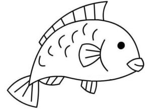 简单的鱼怎么画 如何画鱼简笔画步骤图解