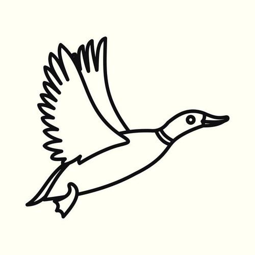 教你画一只鸭子一只小野鸭矢量图简笔画鸭子的图片一张野鸭的简笔画