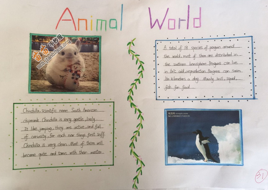 我最喜欢的动物英语手抄报 我最喜欢的动物英语手抄报7年级
