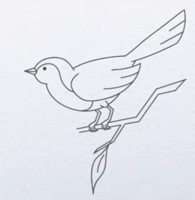 画个小鸟怎么画 如何画小鸟