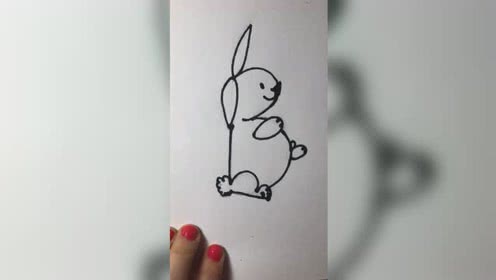 野兔简笔画 野兔简笔画图片