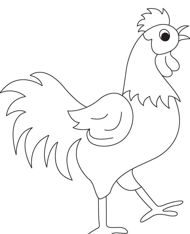 画画公鸡简单图片