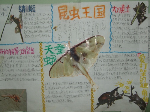 关于昆虫记的读书卡 关于昆虫记的读书卡片