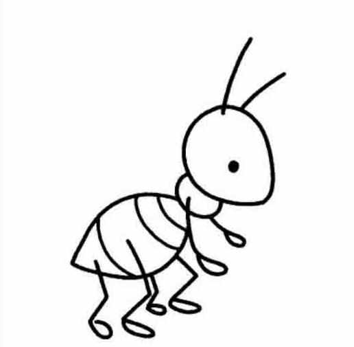 蚂蚁的简笔画画法 蚂蚁咋画简笔画