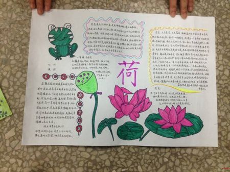 儿童植物手抄报 儿童植物手抄报图片大全