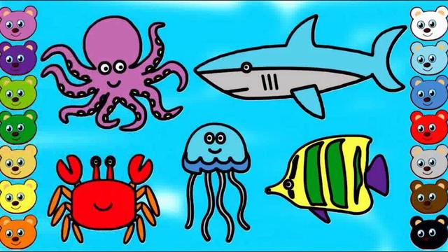 海洋简笔画动物彩色图片