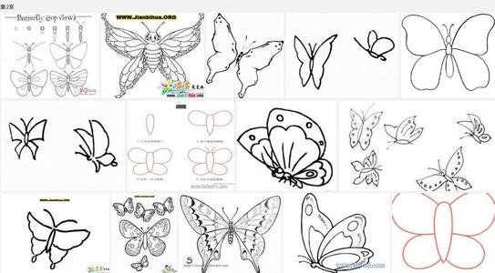 昆虫备忘录蝴蝶怎么画图片