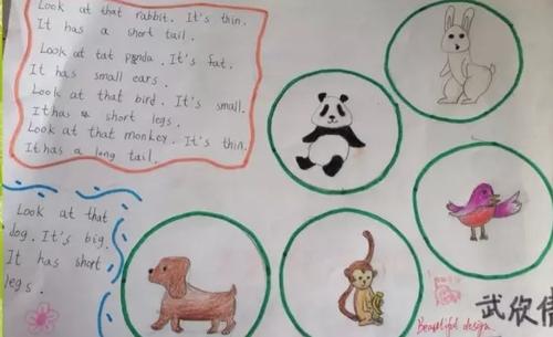 英语手抄报动物 英语手抄报动物园主题三年级