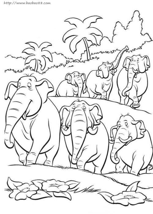 动物世界简笔画 简单图片