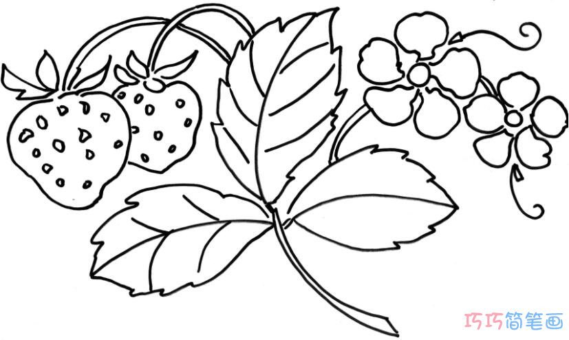 草莓叶子简笔画 草莓叶子简笔画图片