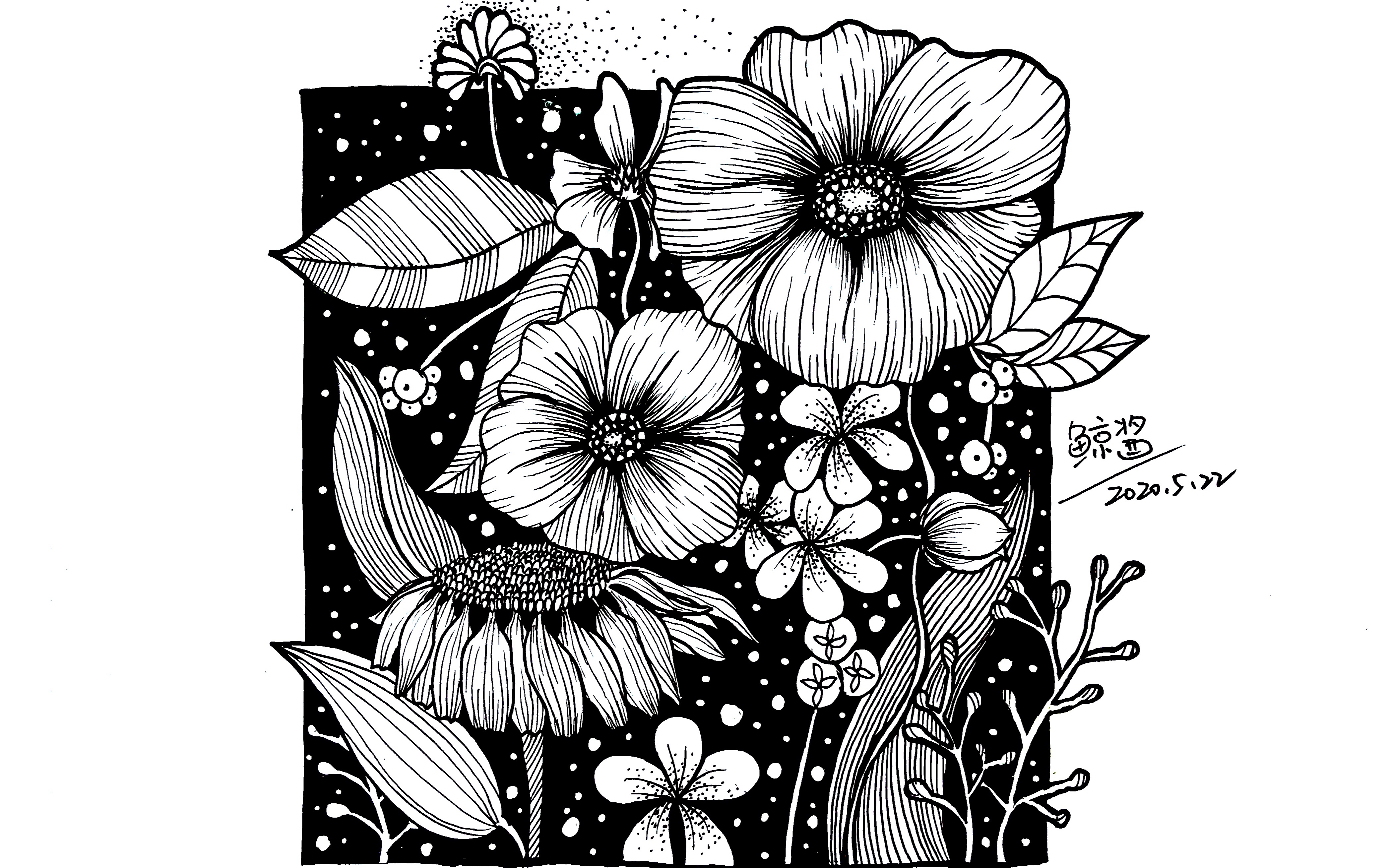 黑白装饰画花卉 黑白装饰画花卉简单