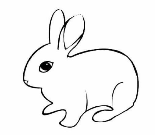 简单兔子简笔画 简单兔子简笔画图片大全