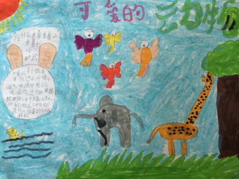 三年级手抄报动物园 三年级手抄报动物园动物乐园手抄报
