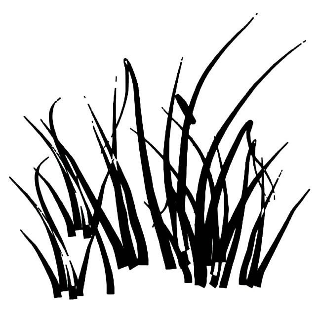 草丛的简笔画 草丛的简笔画怎么画