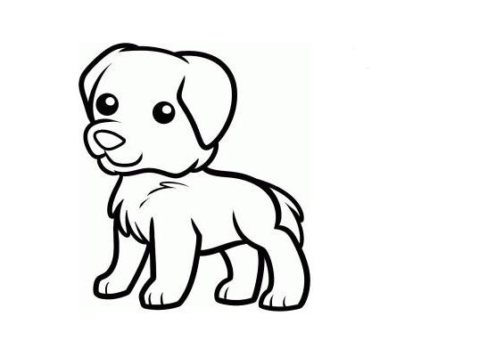 小狗的简笔画可爱 小狗的简笔画可爱又漂亮