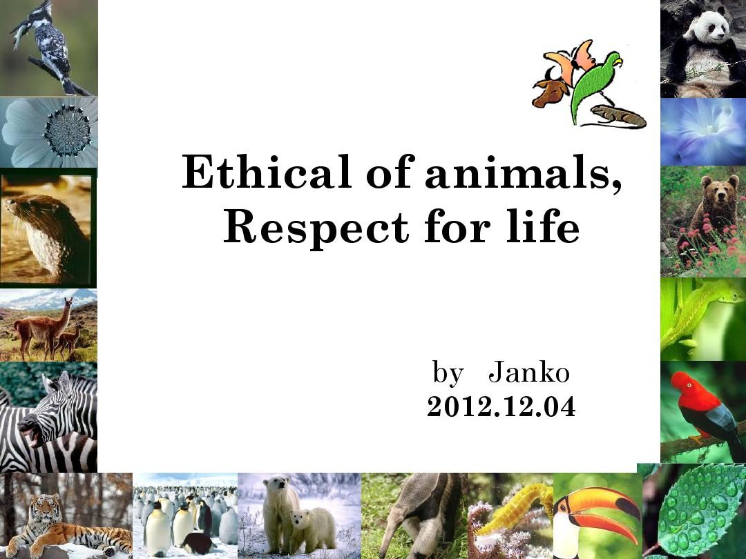 保护濒危动物海报 保护濒危动物海报英语