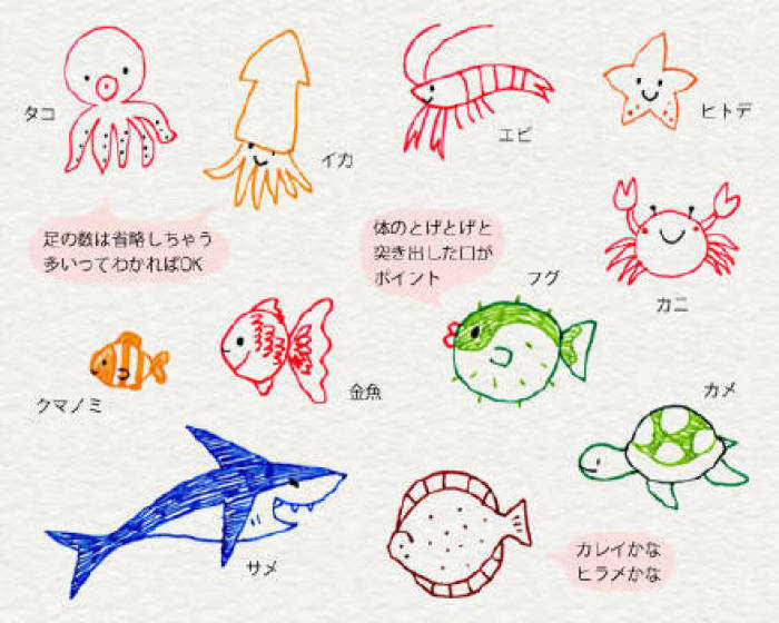 简笔画海洋生物 简笔画海洋生物的图画