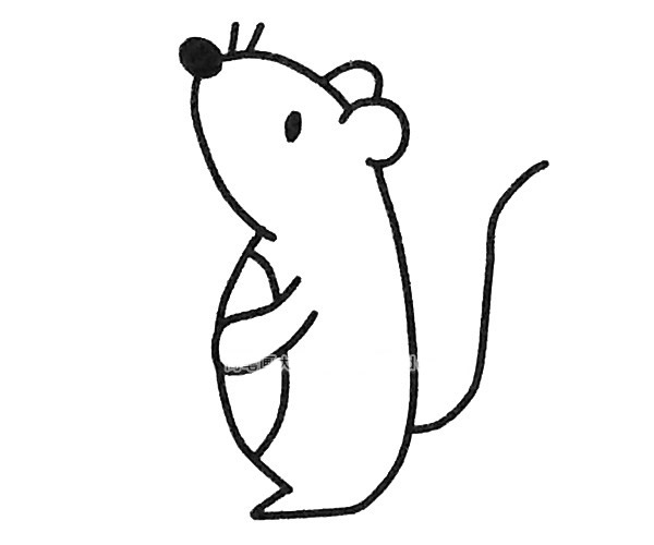 卡通老鼠简笔画 卡通老鼠简笔画图片大全可爱