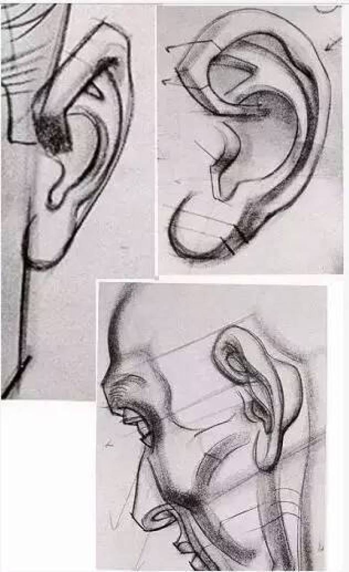 怎么画耳朵 怎么画耳朵简笔画