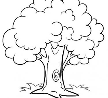 大树怎么画简单又漂亮 大树怎么画简单又漂亮步骤图