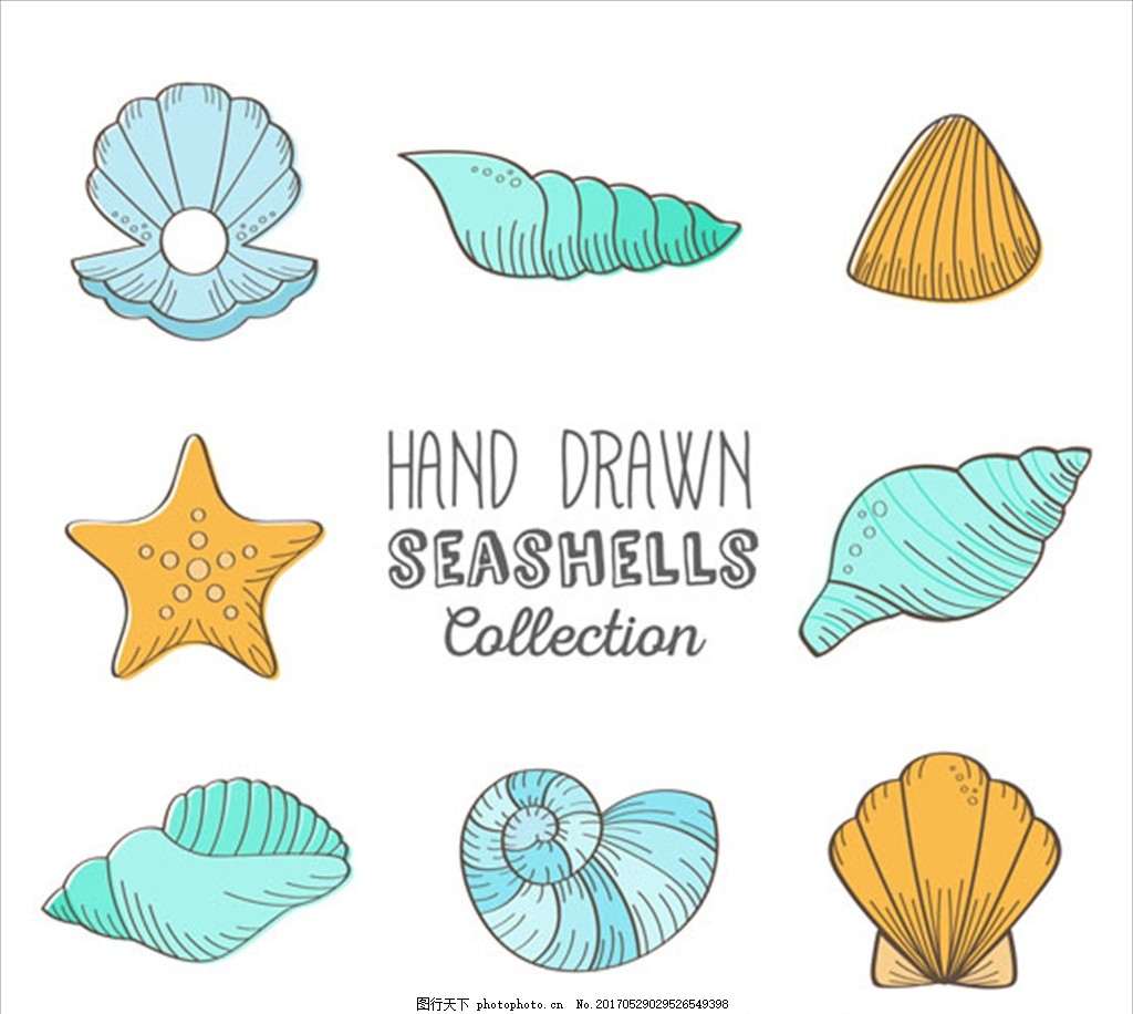 海螺和贝壳的简笔画 海螺和贝壳项链简笔画
