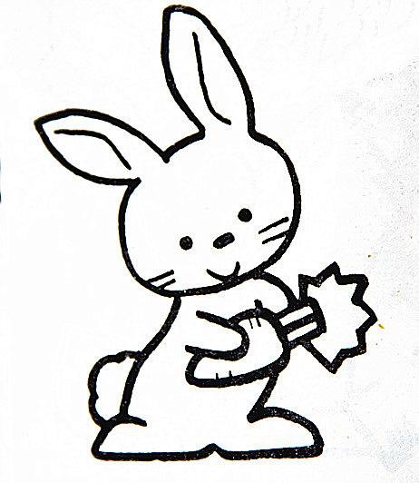 生肖兔简笔画 生肖兔简笔画彩色