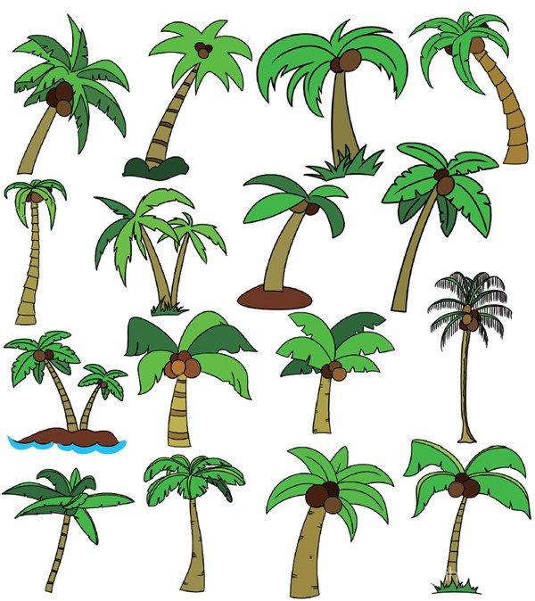 椰树图片简笔画 椰树图片简笔画卡通