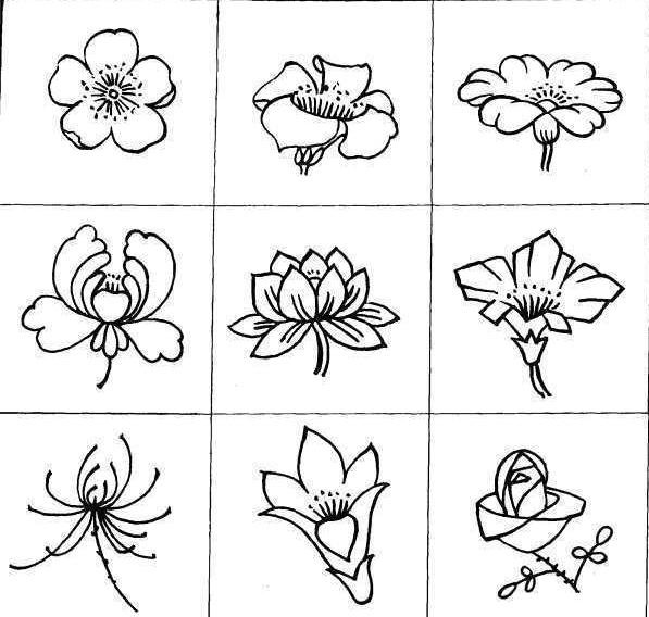 花朵图片简笔画 手绘花朵图片简笔画