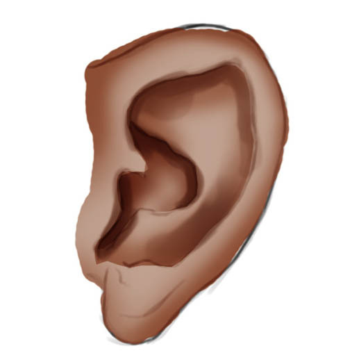 人的耳朵怎么画 素描人的耳朵怎么画
