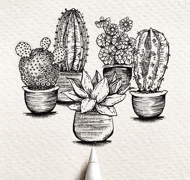 植物装饰画黑白 植物装饰画黑白简笔