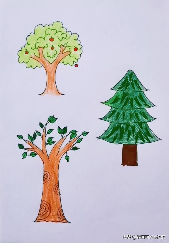 树的故事简笔画 去年的树故事简笔画