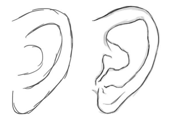 人的耳朵怎么画 素描人的耳朵怎么画